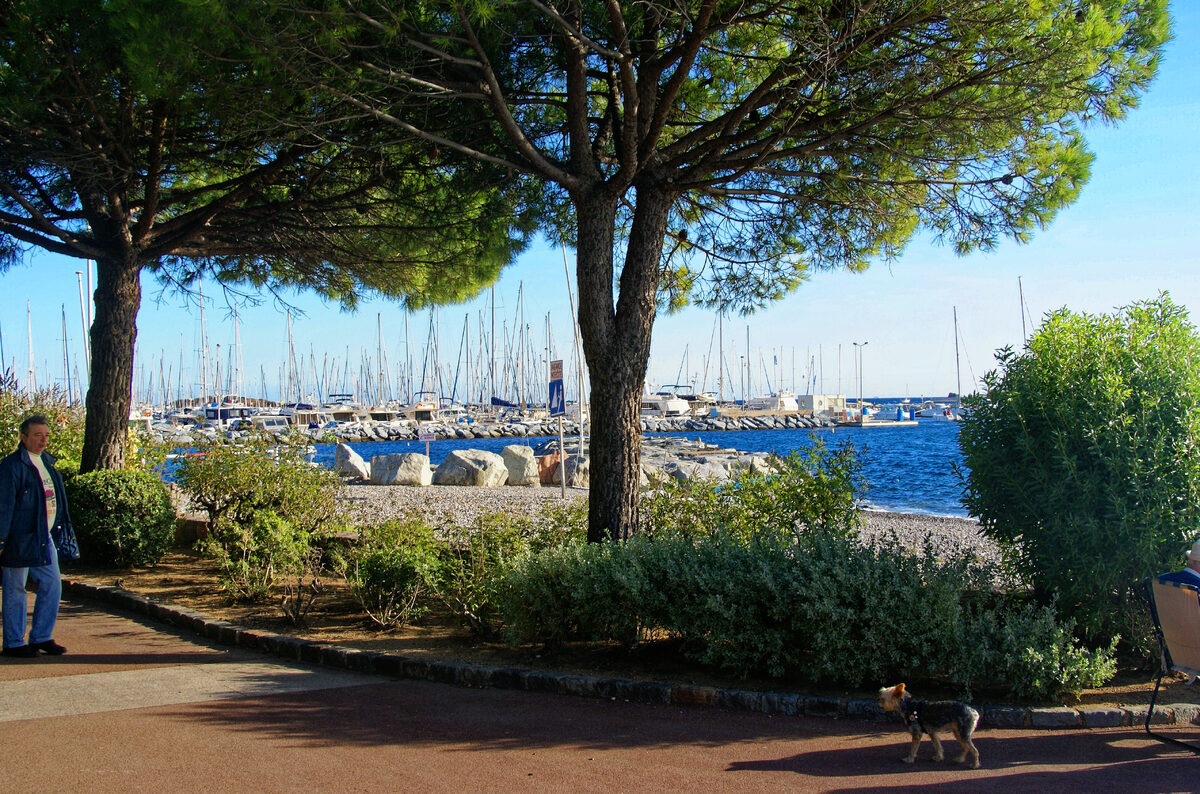 Ansicht von St. Raphael – Port Santa Lucia